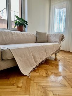 a couch with a blanket on top of it in front of a window next to a potted plant