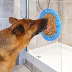 a brown dog with its mouth open in front of a shower