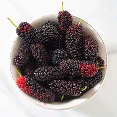 a white bowl filled with black raspberries on top of a marble countertop