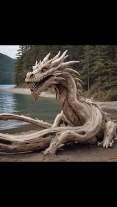 a driftwood dragon sitting on top of a beach next to the ocean with trees in the background