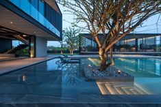 an outdoor swimming pool next to a large building with trees in the foreground and lights on either side