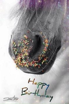 a horse's head with sprinkles on it and the words happy birthday written in front