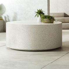 a potted plant sitting on top of a white table next to some concrete steps