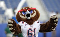 a mascot is standing in the middle of a crowd with his hands on his hips