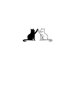 two cats sitting next to each other on top of a white surface with one cat touching the other's hand