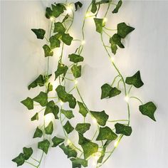 a green plant with white lights hanging from it's sides and leaves on the wall