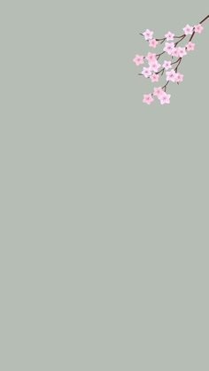 pink flowers are blooming on a branch against a gray background with space for text