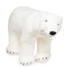 a white polar bear stuffed animal on a white background