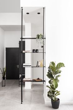 a black and white room with plants in the corner