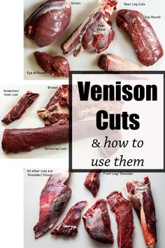 Different cuts of venison Slow Cooker Venison, Venison Chili, Venison Jerky, Venison Meat, Venison Stew, Keto Carnivore