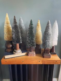 small trees are lined up on top of a table