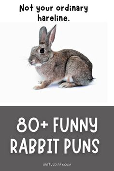 a rabbit with the words, not your ordinary harlene 80 funny rabbit puns