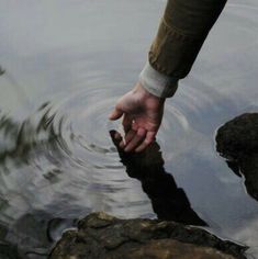 a person reaching for something in the water with their hand on top of some rocks