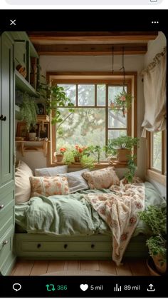 a bed sitting under a window next to a green cupboard filled with potted plants