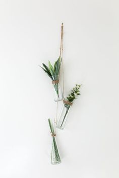 two vases with plants hanging from the wall