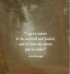 a quote from john burchough about nature to be soothed and healed, and to have my sense put in order