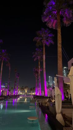 palm trees are lit up at night by the pool