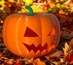 a carved pumpkin sitting on top of leaves