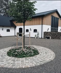 a small tree is in the middle of a circular stone area with flowers around it