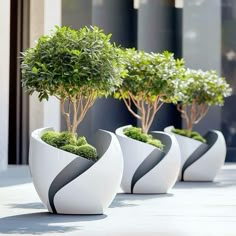 three white vases with trees in them