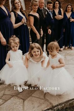 Flower Girl Dress | Lace Appliques Puffy A-Line Toddle Girl Gown Wedding Gowns Mermaid, Flower Girl Dress Lace, Dress Lace