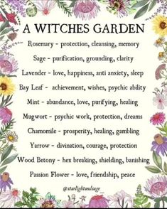 Wicca Herbs Charts, Herbs And Witchcraft, Spells For Plant Growth, Dried Flowers Witchcraft Meaning, Garden Magic Aesthetic, Herbs For Strength Spell, Witchy Garden Plants, Witchy Herbs To Grow, Herbs Meaning Witchcraft