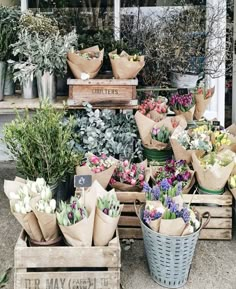 a bunch of flowers that are sitting on some crates in front of a store window