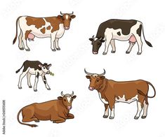 four cows with horns in different poses