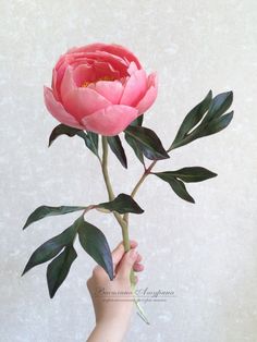 a person holding a pink flower with green leaves in their hand, against a white background