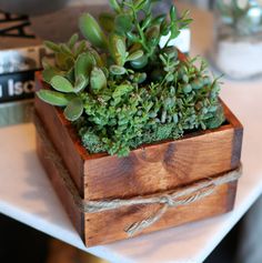 a wooden box filled with green plants on top of a white table next to books