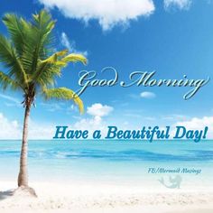 a beach scene with a palm tree and the words good morning have a beautiful day