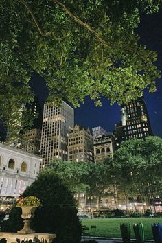 the city skyline is lit up at night with tall buildings in the back ground and trees on either side