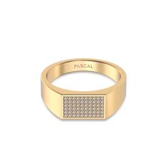 This ring boasts a fully paved surface of lab-grown diamonds, set within a classic rectangular Signet ring design¡ªa timeless fashion statement, perfect for any occasion. ?| Metal: Silver Color: Sterling Silver (925 Sterling Silver is a lightweight metal made of 92.5% pure silver. It¡¯s highly durable and designed for everyday wear) Gold Color: 18K Gold Vermeil (Not to be confused with regular gold plating, our vermeil is a thick layer of 18k solid gold on sterling silver meaning it will last lo Luxury Diamond Ring With Rectangular Stone, Luxury Rings With Diamond Accents And Rectangular Stone, Luxury Rings With Rectangular Diamond Accents, Luxury Diamond Ring With Rectangular Stone For Anniversary, Luxury Yellow Gold Square Cut Diamond Ring, Luxury Square Cut Diamond Ring In Yellow Gold, Luxury Rectangular Diamond Anniversary Ring, Luxury Rectangular Diamond Ring With Vs Clarity, Classic Signet Ring With Pave Setting