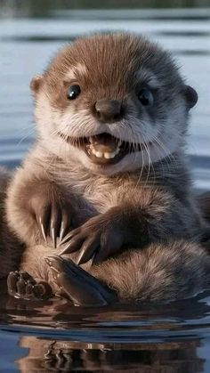 an otter is sitting in the water with its mouth open and it's paw hanging out