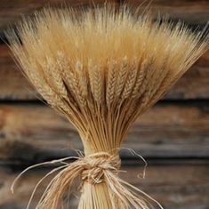 a bunch of dried wheat on top of a wooden table