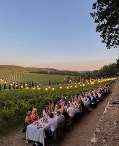 a group of people sitting at tables in the middle of a vineyard