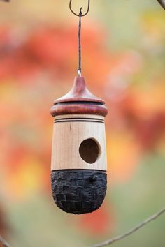 a bird house hanging from a tree branch