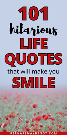 a field full of red flowers with the words 101 hilarious life quotes that will make you smile