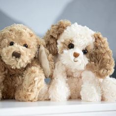 two stuffed dogs sitting next to each other on a table with one looking at the camera