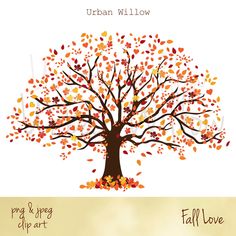 an autumn tree with falling leaves and the words fall love written below it on a white background