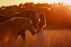 two horses standing next to each other in a field with the sun setting behind them