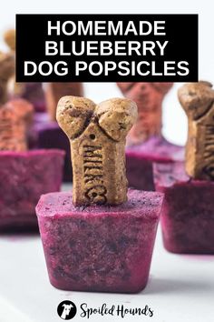 homemade blueberry dog popsicles with text overlay