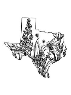 a black and white drawing of the state of texas with wildflowers in it