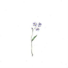 a drawing of some flowers on a white background