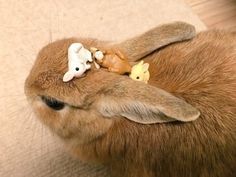 a brown rabbit laying on top of a wooden floor next to a stuffed animal toy