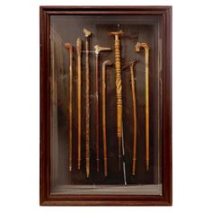 a display case with several different types of canes