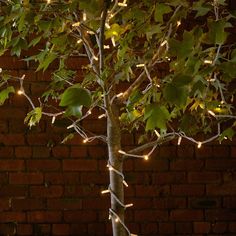 a tree with lights on it in front of a brick wall