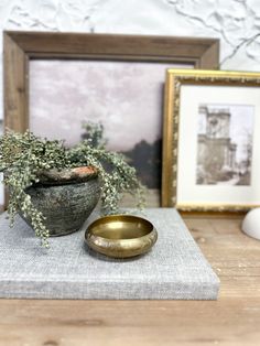 a potted plant sitting on top of a wooden table next to a gold bowl