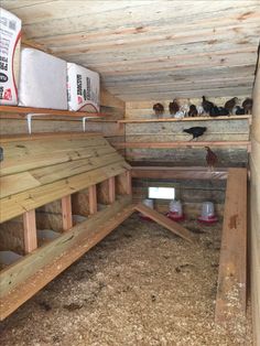 there are many chickens in the small coops on the roof and floor, all looking for food