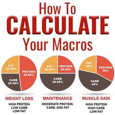 Macro Nutrition, Macros Diet, Resep Diet, Carb Cycling, Macro Meals, Maintain Weight, Makanan Diet, High Protein Low Carb